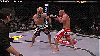 cyril-robert-outside-low-kick-mma