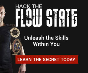 hack the flow state mma