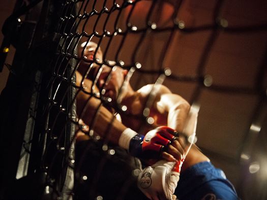 cage-fighting