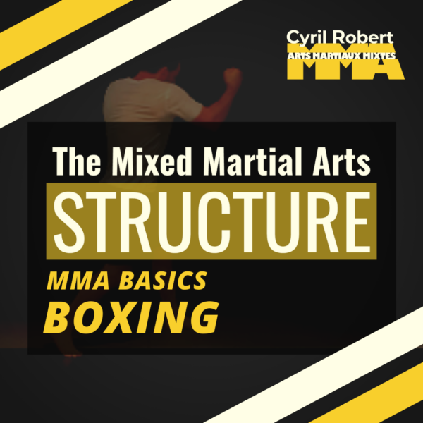 MMA Structure | MMA Basics - Image 3
