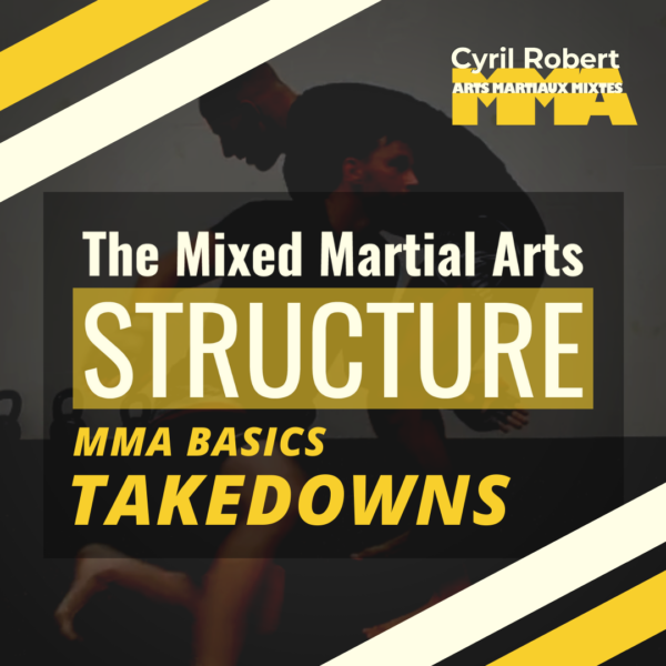 BASIC TAKEDOWNS