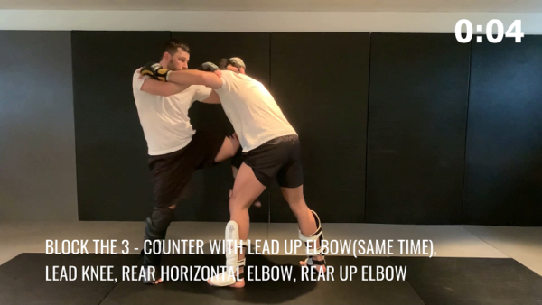 MMA Structure | MMA Basics - Image 8