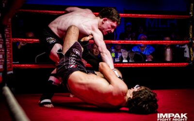 Les Secrets du Ground and Pound en MMA